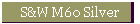 S&W M60 Silver