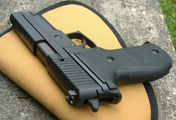 P226 SIG Tanaka Railed Evolution Frame 0 Model タナカワークス