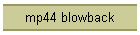 mp44 blowback