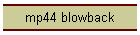 mp44 blowback
